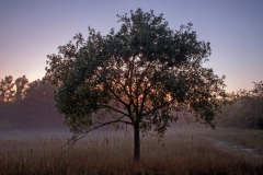 Adam-Betkowski-70x100-1