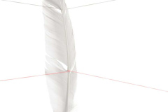 Agnieszka-Walawska-scaled