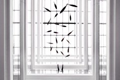 Jakub-Jarosinski-2-20