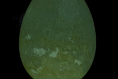 maciej_lewandowski_02